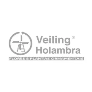 Veilling holambra