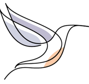 flytime transparente